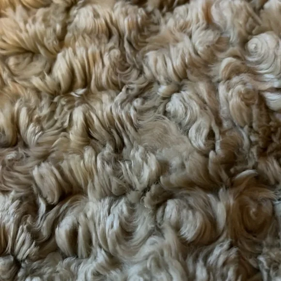 Lane Bryant Penny Lane Jacket Tan/Cream Leather Distressed Size 18/20 - Picture 14 of 16